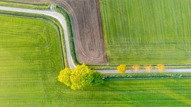 Antwerp, Belçika 'nın Brecht yakınlarında tarlalar arasında kıvrımlı yolu olan taze yeşil arazinin hava görüntüsü.