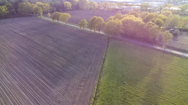 Drohnenschuss aus der Luft: Schöne landwirtschaftliche Plantagen an der Grenze zu wilden Wäldern in Belgien, Europa. Gemüsefelder, Weinberge. Massiver industrieller Anbau umweltfreundlicher Lebensmittel — Stockfoto
