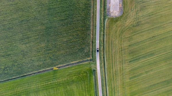 Aerial view drone shot of fresh green field in Spring near Brecht by Antwerp, Belgium with curvy road between fields — Stockfoto