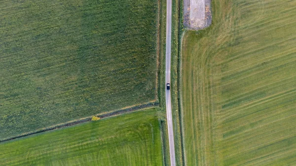 Flygfoto drönare skott av färska gröna fältet under våren nära Brecht av Antwerpen, Belgien med kurvig väg mellan fälten — Stockfoto