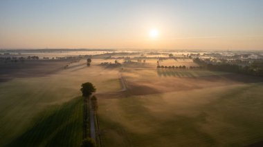 Avrupa, Belçika 'da vahşi ormanlarla çevrili güzel yeşil ve sarı tarımsal tarımın insansız hava aracı çekimi altın güneş ışınları ile yeşilin üzerinde sihirli bir battaniye oluşturur.