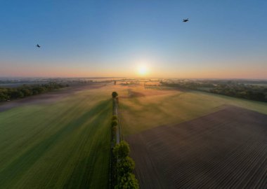 Avrupa, Belçika 'da vahşi ormanlarla çevrili güzel yeşil ve sarı tarımsal tarımın insansız hava aracı çekimi altın güneş ışınları ile yeşilin üzerinde sihirli bir battaniye oluşturur.