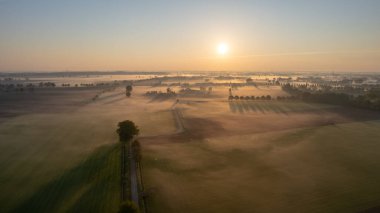 Aerial Drone Shot of a beautiful Green and Yellow Agricultural Plantations Bordering with Wild Forests in Belgium, Europe with the golden rays of sun creating a magical blanket over the green
