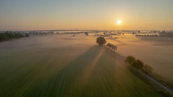 Aerial Drone Shot Beautiful Green Yellow Agricultural Plantations Bordering Wild — Foto de Stock