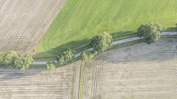 Drohnen Luftaufnahme Einer Straße Zwischen Verschiedenen Landwirtschaftlichen Feldern Raum Antwerpen — Stockfoto