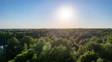 Gün batımında yoğun çam ormanlarından, yeşil ladin ağaçlarından ve renkli, yemyeşil gölgelerden manzarayı seyret. Yüksek kalite fotoğraf
