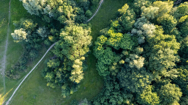 Aerial top view rural road in the forest, dirt road or mud road and rain forest, Aerial view road in nature, Ecosystem and healthy environment. High quality photo