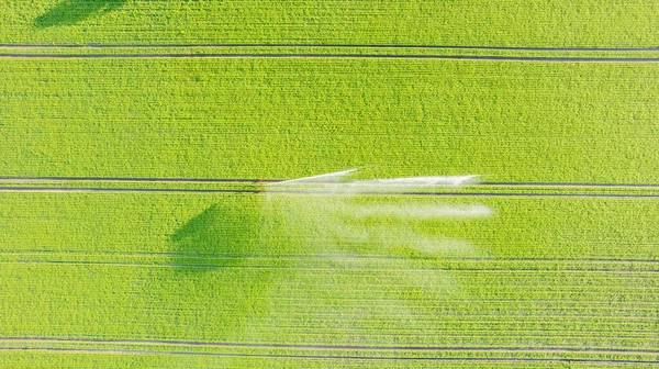 Aerial View Drone Potato Field Being Irrigated Gigantic Powerful Irrigation — Stockfoto