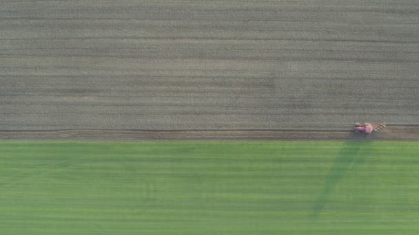 Воздушный Беспилотник Трактором Вспахивающим Поле Утреннем Тумане Освещал Золотой Восход — стоковое видео