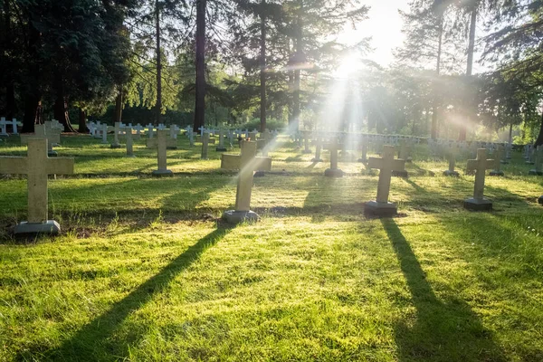 Merksplas Antwerp Belgium 11Th June 2022 Cemetery Graveyard Unknown Homeless — ストック写真