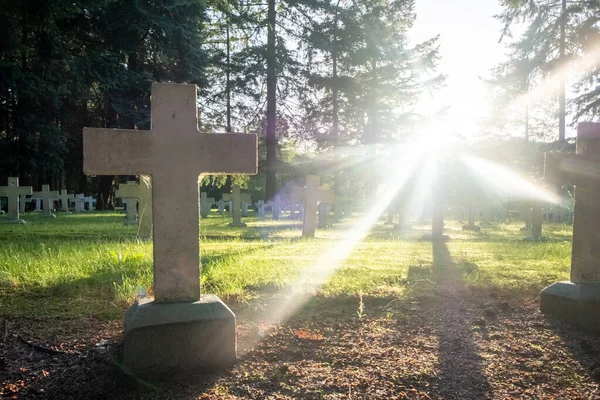 Merksplas Antwerp Belgium 11Th June 2022 Cemetery Graveyard Unknown Homeless — ストック写真