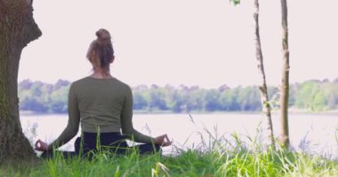 Doğada yoga yapan genç bir kadının yakın çekimleri. Bir ağaç ve bir orman gölünün yanındaki yeşil çimlere otur. Egzersiz yapmak ve sağlığınızı korumak için iletişim kurun. Yüksek kalite 4k görüntü