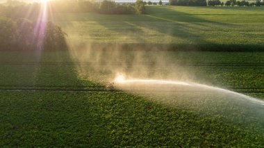 Devasa ve güçlü bir sulama sistemi tarafından sulanan bir patates tarlasının hava görüntüsü. Yüksek kalite fotoğraf