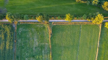 Aerial view drone shot of fresh green field in Spring near Turnhout by Antwerp, Belgium with road between fields. High quality photo