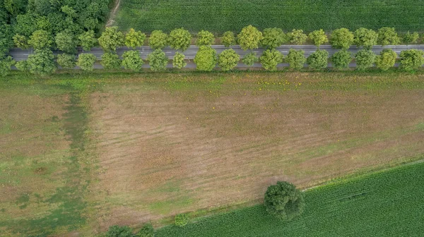 Αεροφωτογραφία Drone Γυρίστηκε Από Φρέσκο Πράσινο Πεδίο Την Άνοιξη Κοντά — Φωτογραφία Αρχείου