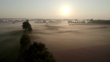 Avrupa, Belçika 'da vahşi ormanlarla çevrili güzel yeşil ve sarı tarımsal tarımın insansız hava aracı çekimi altın güneş ışınları ile yeşilin üzerinde sihirli bir battaniye oluşturur.