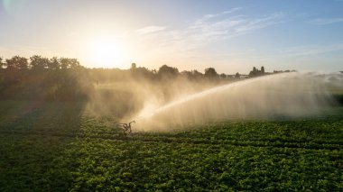 Aerial view by a drone of a agriculture field being irrigated by a gigantic and powerful irrigation system. High quality photo