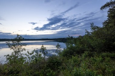 Önünde yeşil bir ağaç olan güzel mavi bir göl dramatik bir mavi alacakaranlık gökyüzünün altında. Yüksek kalite fotoğraf