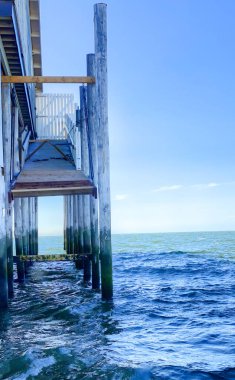 Ocean Pie 'ın tahta direği. Sörfçüler ve martılar sakin okyanus dalgalarının tadını çıkarırlar. Yüksek kalite fotoğraf