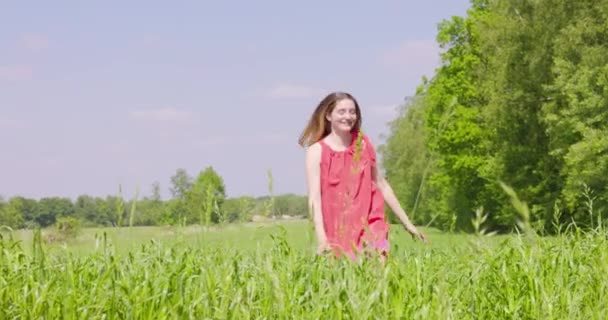 Young Girl Happily Walking Field Touching Hand Wheat Ears Beautiful — Video
