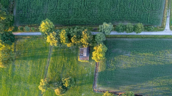 Aerial View Drone Shot Fresh Green Field Spring Turnhout Antwerp — Fotografia de Stock