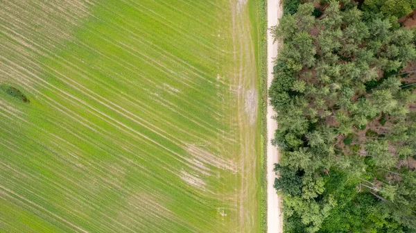 Aerial View Drone Shot Fresh Green Field Spring Turnhout Antwerp — Foto Stock