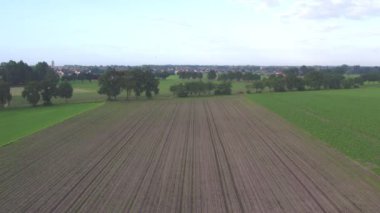 Mısırlı tarlanın hava görüntüsü Drone bakış açısıyla akşam güneşinin batışı. Hava, kırsal arazinin üzerinde büyüyen mısır tarlası sabah güneşiyle birlikte uçuş. Cornfield üzerinde uçuş. Rüzgar Dalgası