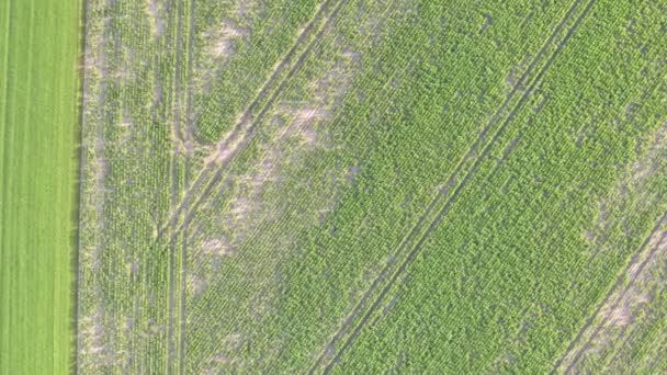 Vista Aerea Drone Volo Sopra Paesaggio Rurale Campagna Con Una — Video Stock