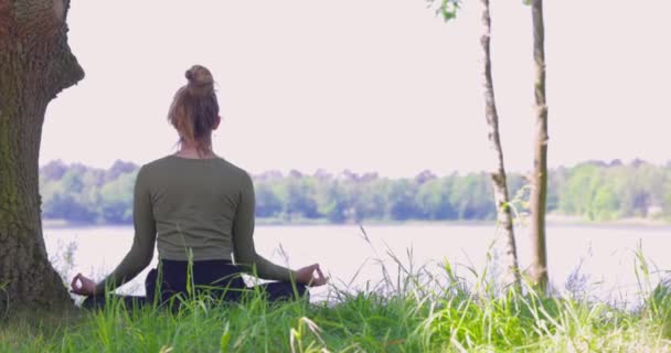 Young Woman Practicing Yoga Nature Sitting Green Grass Next Tree — Stockvideo