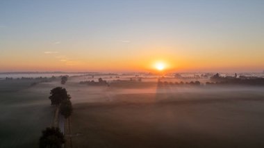 Avrupa, Belçika 'da vahşi ormanlarla çevrili güzel yeşil ve sarı tarımsal tarımın insansız hava aracı çekimi altın güneş ışınları ile yeşilin üzerinde sihirli bir battaniye oluşturur.
