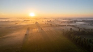 Avrupa, Belçika 'da vahşi ormanlarla çevrili güzel yeşil ve sarı tarımsal tarımın insansız hava aracı çekimi altın güneş ışınları ile yeşilin üzerinde sihirli bir battaniye oluşturur.