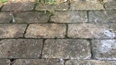 Sonbahar yağmuru damlaları taşların üzerindeki büyük su birikintisine dökülüyor, sokakları sel basıyor. Yağmur mevsiminde sağanak yağmur nedeniyle yollar taşar. Su altındaki yola yağmur damlaları düşüyor. Yüksek