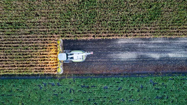 Aerial Drone View Lot Nad Kombajn Zbożowy Który Zbiera Suchą — Zdjęcie stockowe