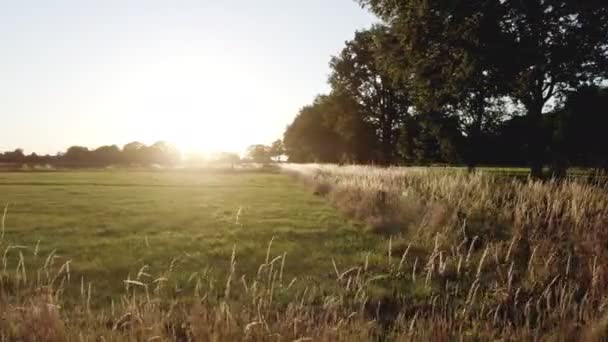 Вид Воздуха Американский Сельский Пейзаж Сельхозугодия Беспилотник Летит Низко Над — стоковое видео