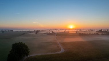 Avrupa, Belçika 'da vahşi ormanlarla çevrili güzel yeşil ve sarı tarım çiftliklerinin dramatik hava aracı çekimi, altın güneş ışınları ile yeşil üzerinde sihirli bir battaniye oluşturur.