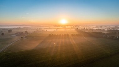 Avrupa, Belçika 'da vahşi ormanlarla çevrili güzel yeşil ve sarı tarım çiftliklerinin dramatik hava aracı çekimi, altın güneş ışınları ile yeşil üzerinde sihirli bir battaniye oluşturur.