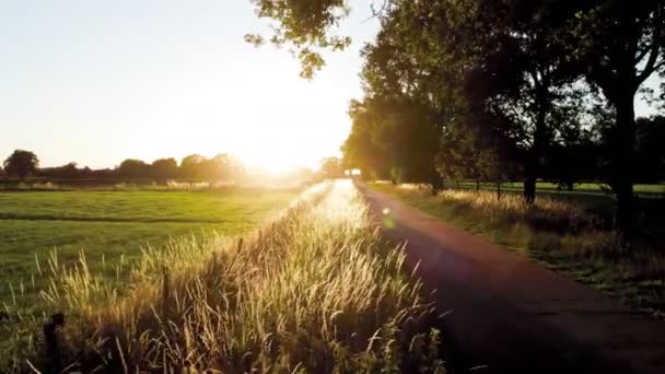 Landsbygdslandskap Gårdsliv Flygutsikt Över Euopeiska Landsbygdslandskapet Jordbruksmark Drönaren Flyger Lågt — Stockvideo