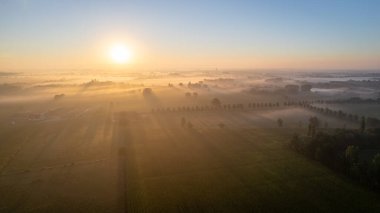 Avrupa, Belçika 'da vahşi ormanlarla çevrili güzel yeşil ve sarı tarım çiftliklerinin dramatik hava aracı çekimi, altın güneş ışınları ile yeşil üzerinde sihirli bir battaniye oluşturur.