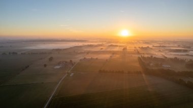 Avrupa, Belçika 'da vahşi ormanlarla çevrili güzel yeşil ve sarı tarımsal tarımın insansız hava aracı çekimi altın güneş ışınları ile yeşilin üzerinde sihirli bir battaniye oluşturur.