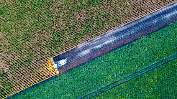 Aerial Drone View Lot Nad Kombajn Zbożowy Który Zbiera Suchą — Zdjęcie stockowe