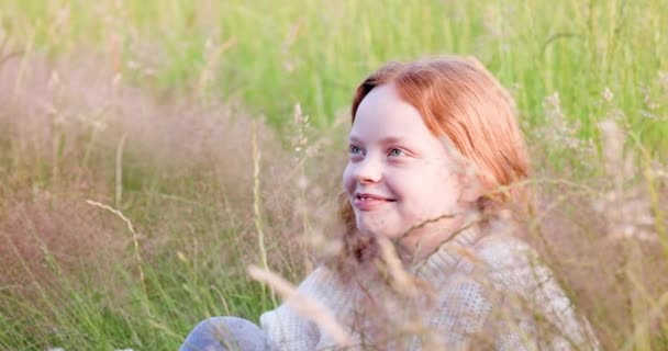 美丽的少女 一头长长的红头发 坐在夏日的草地上 享受着阳光 调整着她的头发 高质量的4K镜头 — 图库视频影像