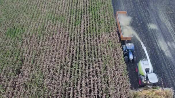 Vue Aérienne Par Drone Vol Dessus Une Moissonneuse Batteuse Qui — Video