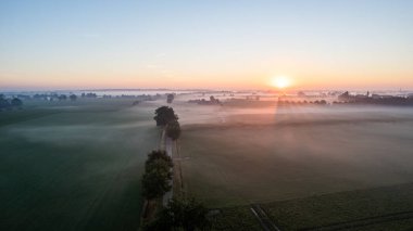 Avrupa, Belçika 'da vahşi ormanlarla çevrili güzel yeşil ve sarı tarımsal tarımın insansız hava aracı çekimi altın güneş ışınları ile yeşilin üzerinde sihirli bir battaniye oluşturur.