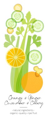 Meyve, bitki ve sebze arınması. Salatalık, portakal, kereviz ve zencefil karışımı. Güzel şeffaflık ve meyve kesimi..