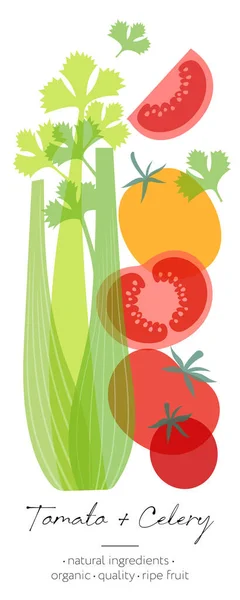 Vegetables Herb Detox Tomatoes Celery Mix Beautiful Transparency Whole Cut — Stockvektor