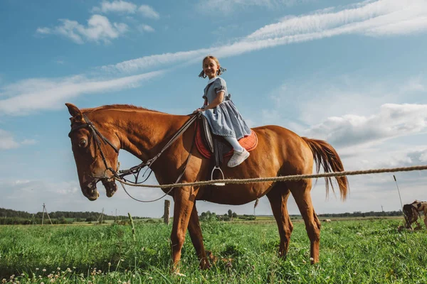 Ένα Κοριτσάκι Μπλε Φόρεμα Πιάνει Ένα Άλογο Ένα Χωράφι Μια — Φωτογραφία Αρχείου
