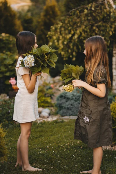 Porträtt Två Små Flickor Som Går Parken Plocka Blommor Vacker — Stockfoto