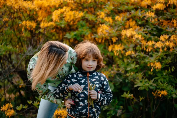 母親と長い赤みを帯びた髪をした小さな男の子が公園で落ち葉で遊んでいる 秋が来ている 母親と息子は家族と一緒に時間を過ごす 幸福の概念 黄色の葉 — ストック写真