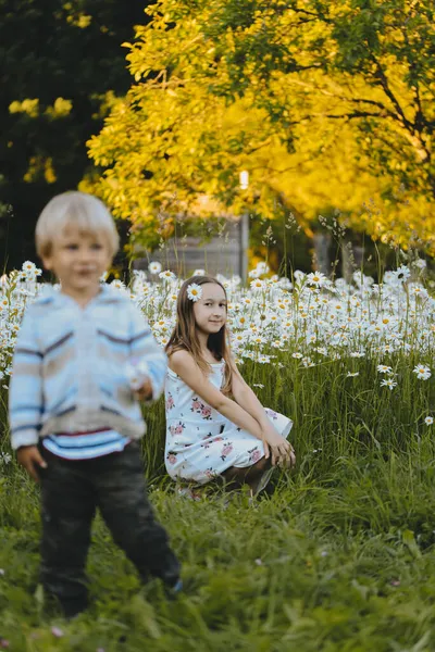 Menino Menina Caminham Livre Entre Margaridas Crianças Coletam Camomila Campo — Fotografia de Stock