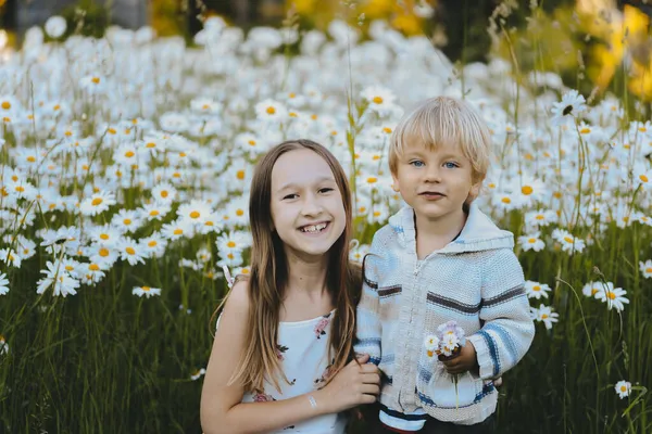 デイジーの間で屋外を歩いている小さな男の子と女の子の肖像画 子供たちは母親のためにフィールドにカモミールを収集します 田舎だ 野の花 暖かい夏の日 — ストック写真
